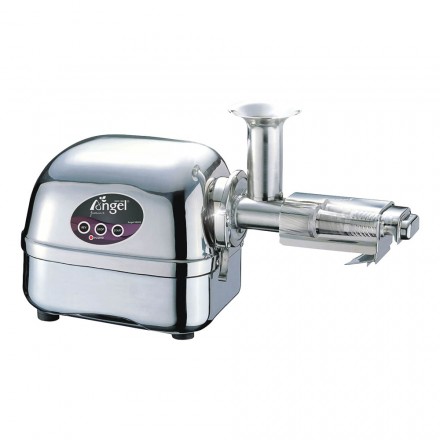 Saftpresse f&uuml;r Vitals&auml;fte, Edelstah| Vitapowershop