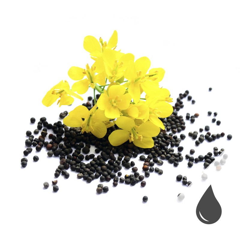 Gsundes rohes Raps&ouml;l swissmade: bei Vitapower