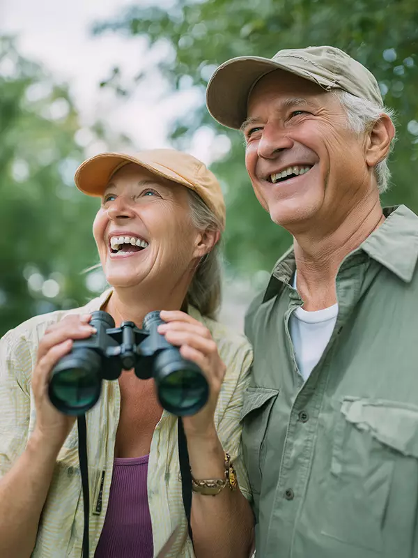 Biene und Schmetterling auf einer Blüte – Symbol für Honig/Blütenpollen (Energie/Stoffwechsel)